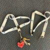 Lanyard