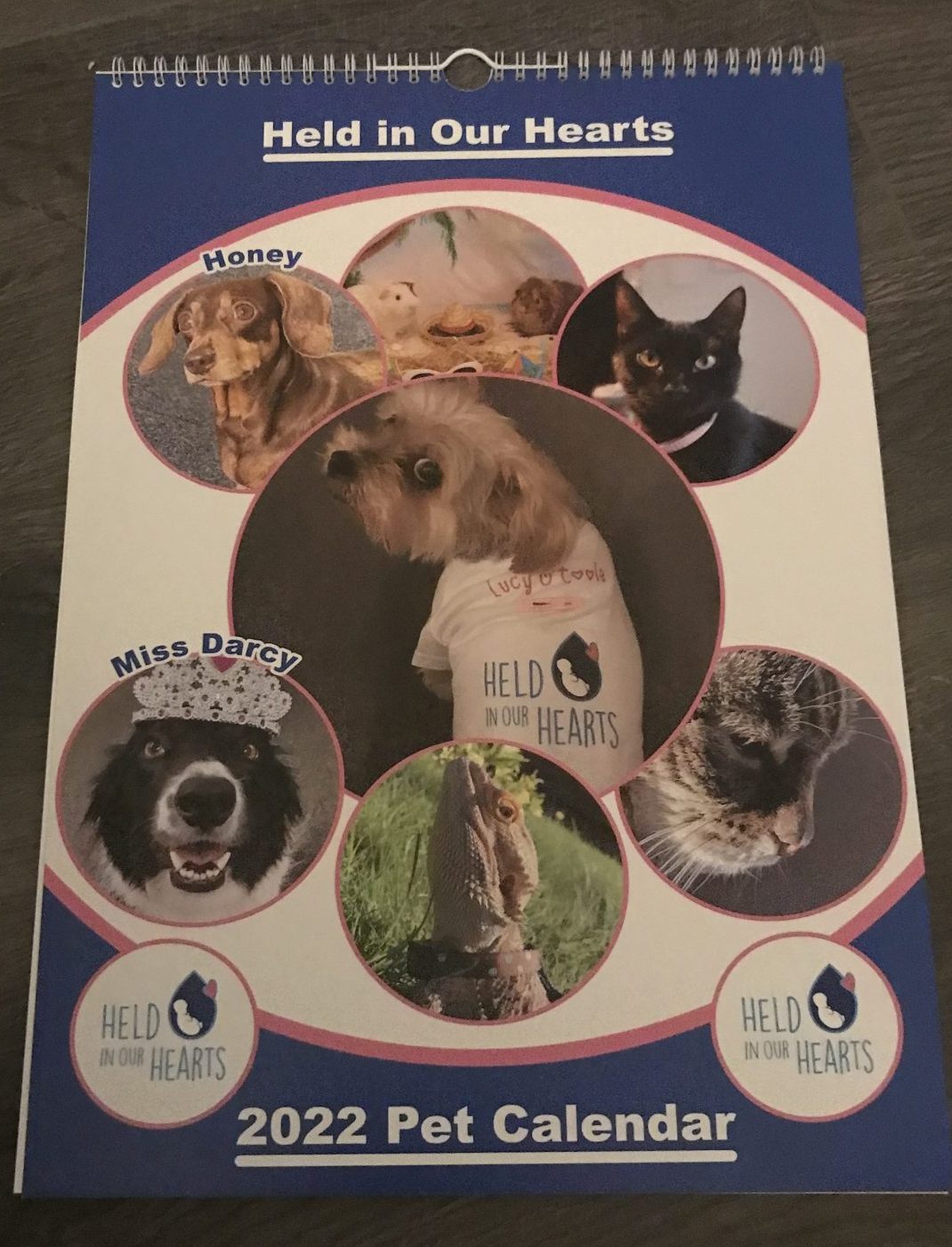 Our new pet calendar has launched!